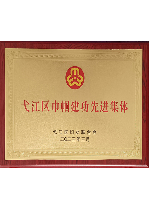弋江區巾幗建功先進集體
